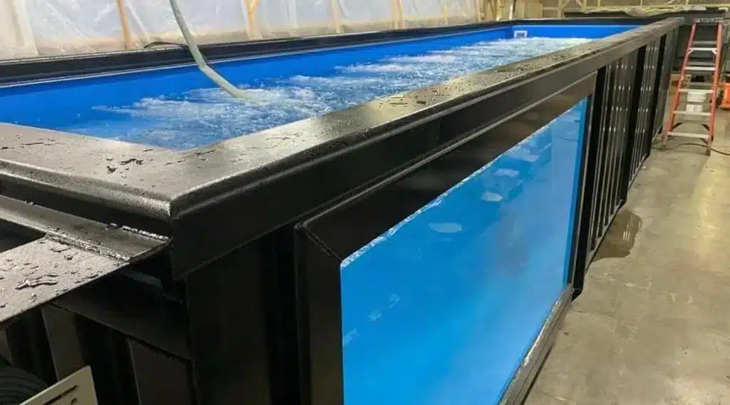 40FT Luxury Swimming Container Pool 4